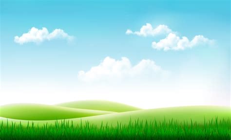 Nature Background With Green Grass And Blue Sky Vector Free Download