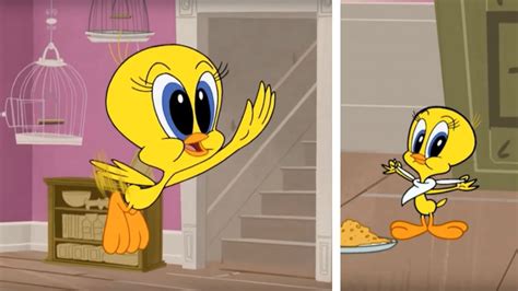 Tweety Bird Find Out About New Looney Tunes Boomerang