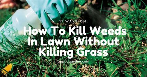 11 Ways Killing Weeds In Lawn Without Killing Grass