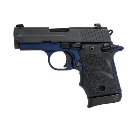Sig Sauer P238 Navy For Sale New