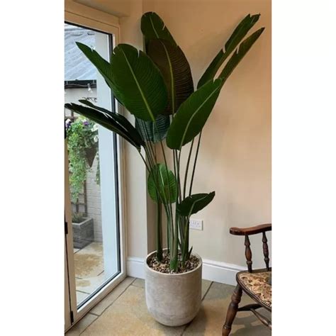 190cm Artificial Banana Leaf Tree In Planter In 2021 Trees In