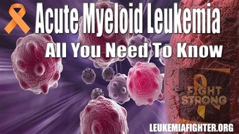 What Is Acute Myeloid Leukemia Stages And Subtypes Youtube