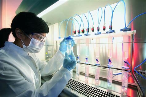 Em Um Laboratório De Genética Experimental