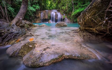 Nature Landscape Thailand Waterfall Forest Roots Foliage Green