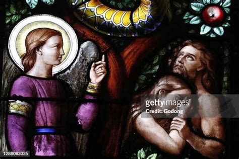 Adam And Eve Stained Glass Photos And Premium High Res Pictures Getty