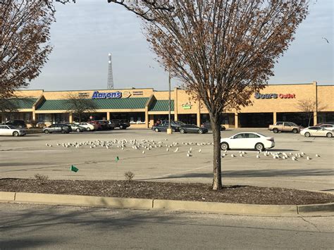 Flock of Seagulls comes to Colerain. : r/cincinnati