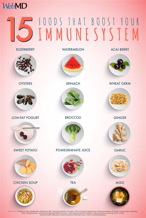 15 foods that boost your immune system how will you enhance your immune protection system