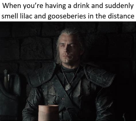 The Witcher Memes To Get Hyped For Season The Witcher The