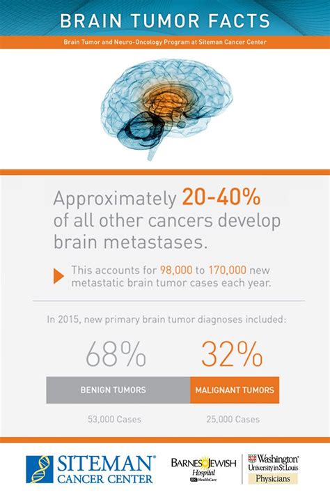Symptoms And Risk Brain And Spine Tumors Siteman Cancer Center