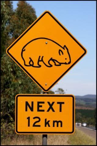 New horizons (acnh) can now be unlocked and played worldwide as of today for. Australia has wombat crossing signs!!!! | Australian ...