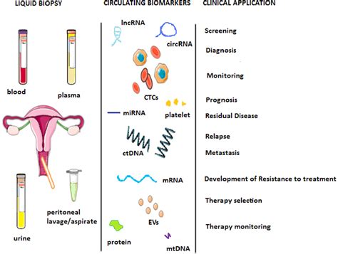 Liquid Biopsy In Endometrial Cancer