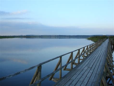Der federsee ist in bad buchau eine absolute besonderheit. Federsee/Oberschwaben, durch den 1,5km langen Holzsteg ...
