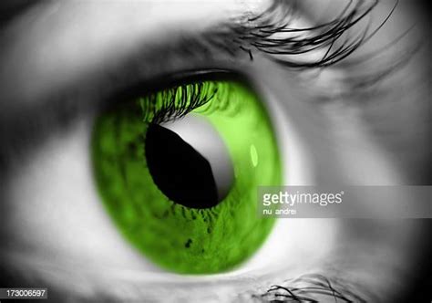 Black Eye Macro Photos And Premium High Res Pictures Getty Images