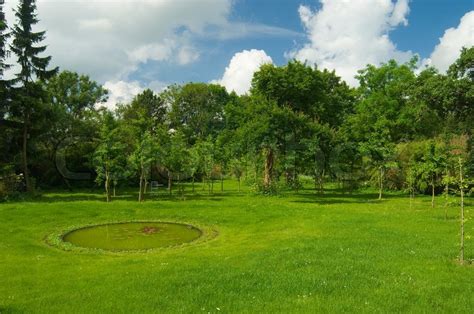 Lawn Nature Grass Garden Summer Stock Photo Colourbox