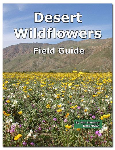 Maybe you would like to learn more about one of these? Desert Wildflower Red, Pink, Orange Wildflowers - DesertUSA