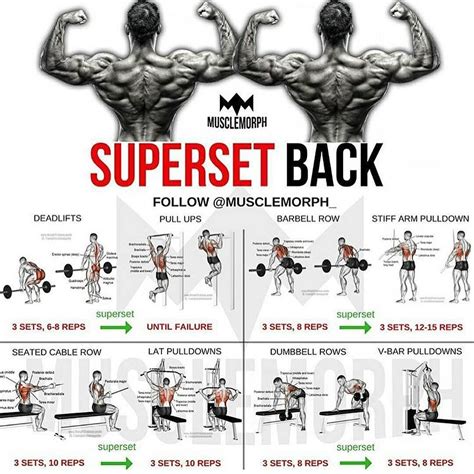 Pin By Cee Stablito On Fitness And Workout Back Workout Bodybuilding