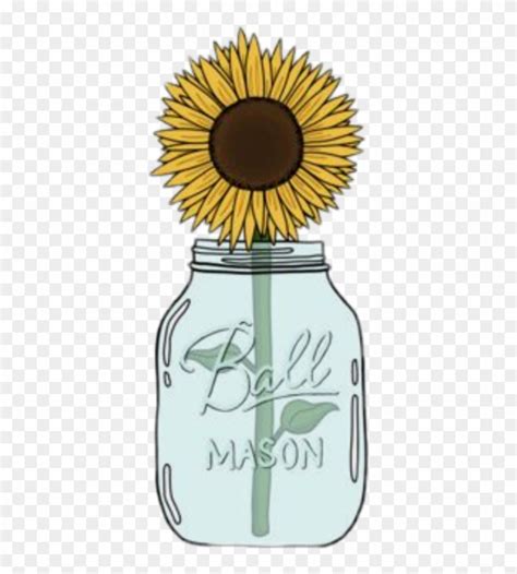 Download High Quality Sunflower Clip Art Mason Jar Transparent Png