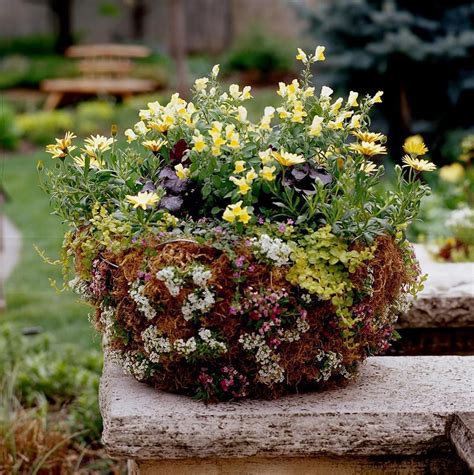 20 Gorgeous Spring Container Garden Ideas Rhythm Of The Home