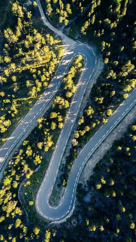 Download Wallpaper 1350x2400 Road Turn Trees Aerial View Iphone 87