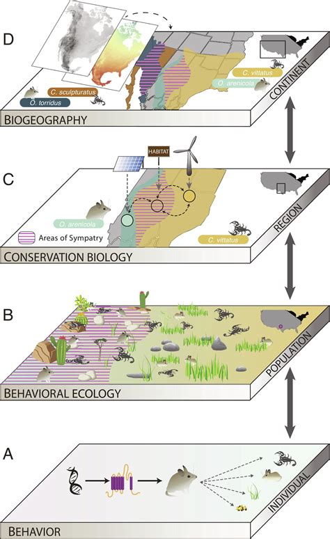 Integrating Biogeography And Behavioral Ecology To Rapidly Address