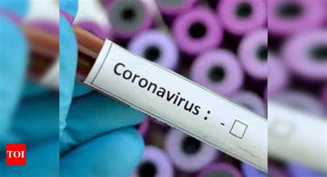 Posters Stoke Coronavirus Disease 2019 Bias Urge People To Avoid Pets