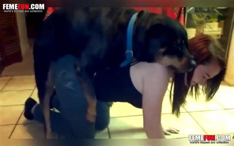 Black Dog Makes An Attempt To Penetrate Red Haied Xxx Mom On Floor