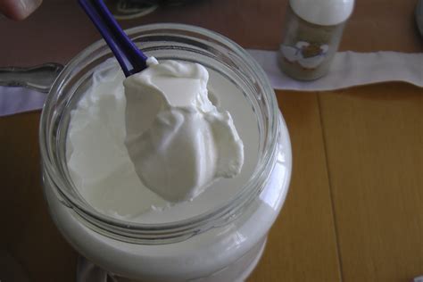 How To Make Homemade Sour Cream Creme Fraiche Northern Homestead