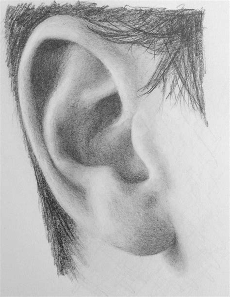 How To Draw Ears Realistic Drawings Easy Realistic Drawings Ear Art