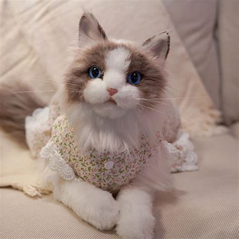100 Handmade Realistic Stuffed Ragdoll Plush Cat Toycat Etsy