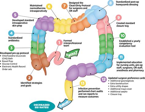 colorectal anatomy