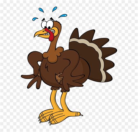 190 Funny Turkey Clipart Pictures Illustrations Royalty Free Clip