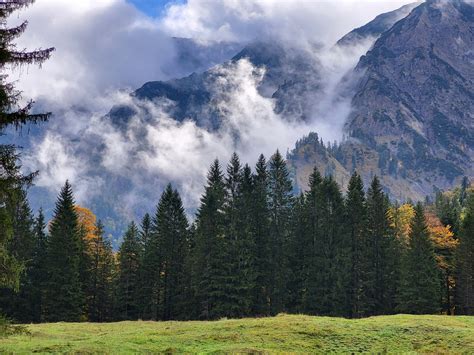 Alpine Forest Nature Free Photo On Pixabay Pixabay
