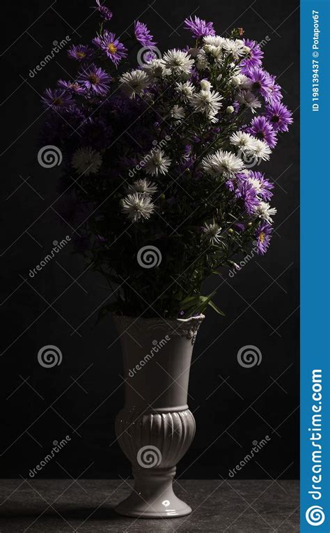 Bouquet Of Small Garden Asters In A White Vase On A Gray Background