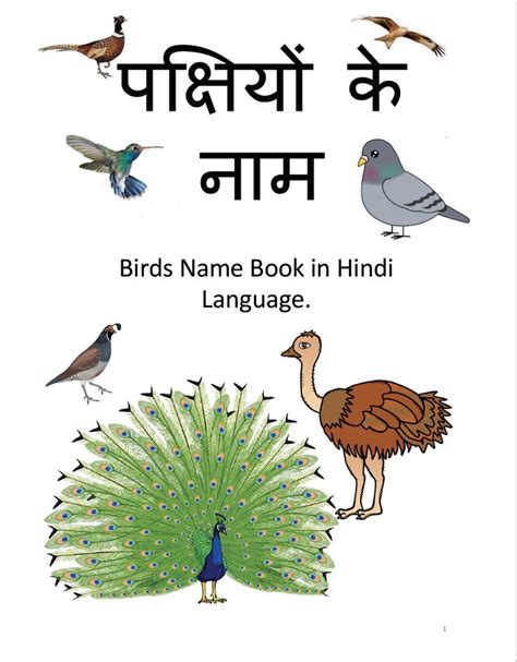 Birds Name In Hindi Hindi Names Hindi Language