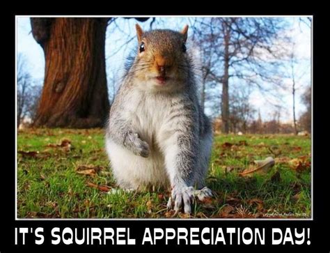 Best friends pet clinic, fort smith, arkansas. January 21, Squirrel Appreciation Day | Squirrel ...