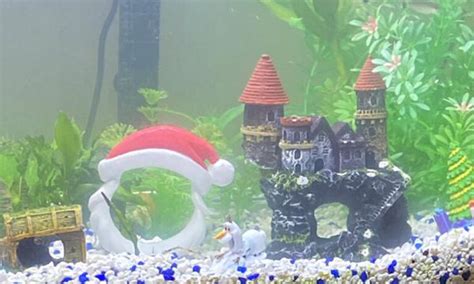 10 Christmas Aquarium Decorations Ideas To Make Your Fish Tank Merry