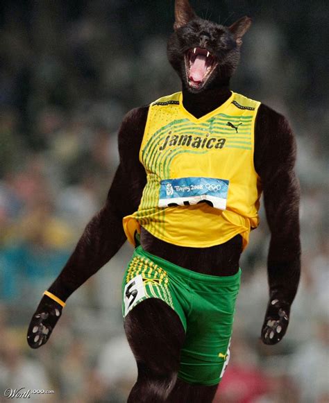 Leo bolt is a jamaican sprinter who is infamous as the fastest person ever. Usain Bolt versión gatuna