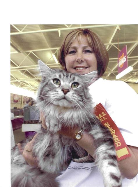 I want a big maine coon, is a phrase we often hear. Home Page www.karocoons.freeservers.com