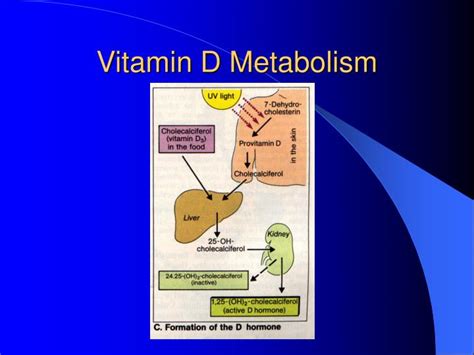 Important for prevention of osteoporosis, cardiovascular heart disease, type 1 diabetes, autoimmune diseases, and some cancers. PPT - Metabolic Bone Disease PowerPoint Presentation - ID ...