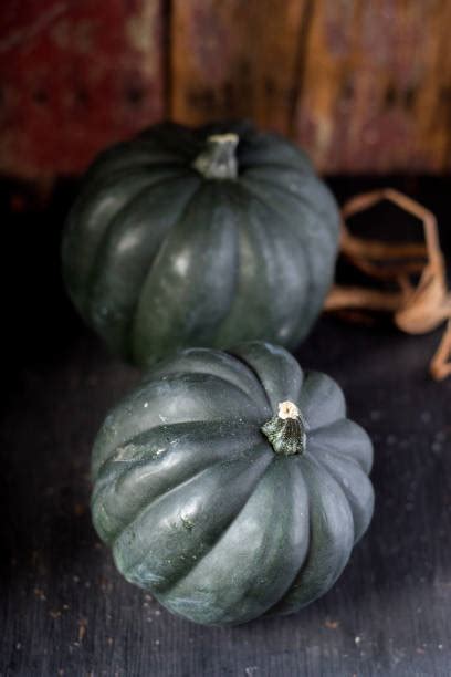 Ripe Acorn Squash Stock Photos Pictures And Royalty Free Images Istock