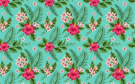 Hibiscus Wallpapers Top Những Hình Ảnh Đẹp