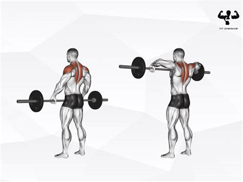 Barbell Upright Row How To And Benefits Fitdominium