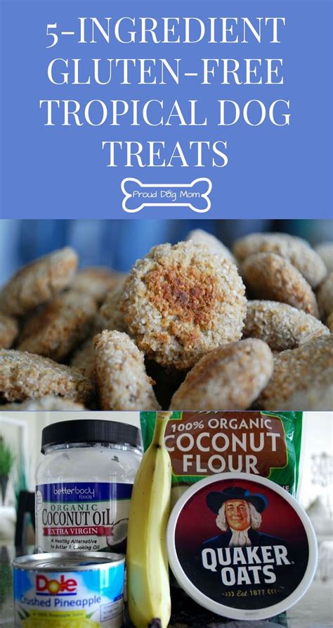 Check spelling or type a new query. Tropical Treasures: Gluten-Free Dog Treats Recipe - Proud ...