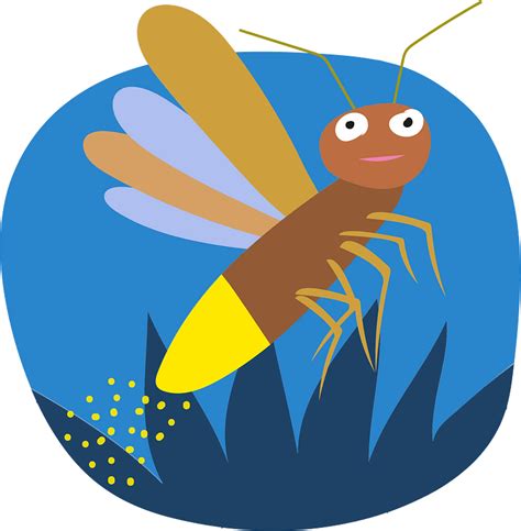 Firefly Bug Clipart