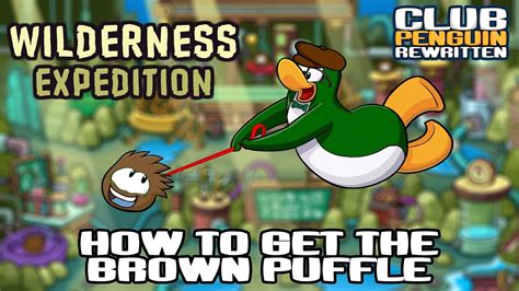 Brooms can be put out to keep the dust away. Club Penguin Rewritten - How To Get The Brown Puffle ...