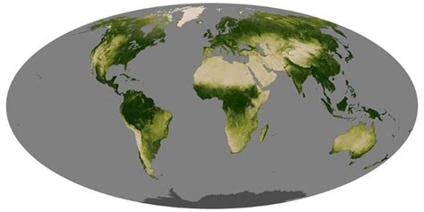 Map Of Vegetation Over Years Global Map Vegetation Plant Growth