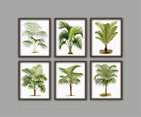 Palm Tree Print Set Of 6 Botanical Wall Art Print Home Decor Palm