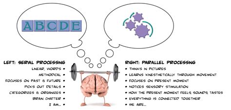 Personality profiling may not be helpful as a predictor of those who are likely to. What Is Parallel Processing Psychology And Why It Matters ...