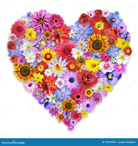 Large Heart Shaped Floral Arrangement Royalty Free Stock Photos Image