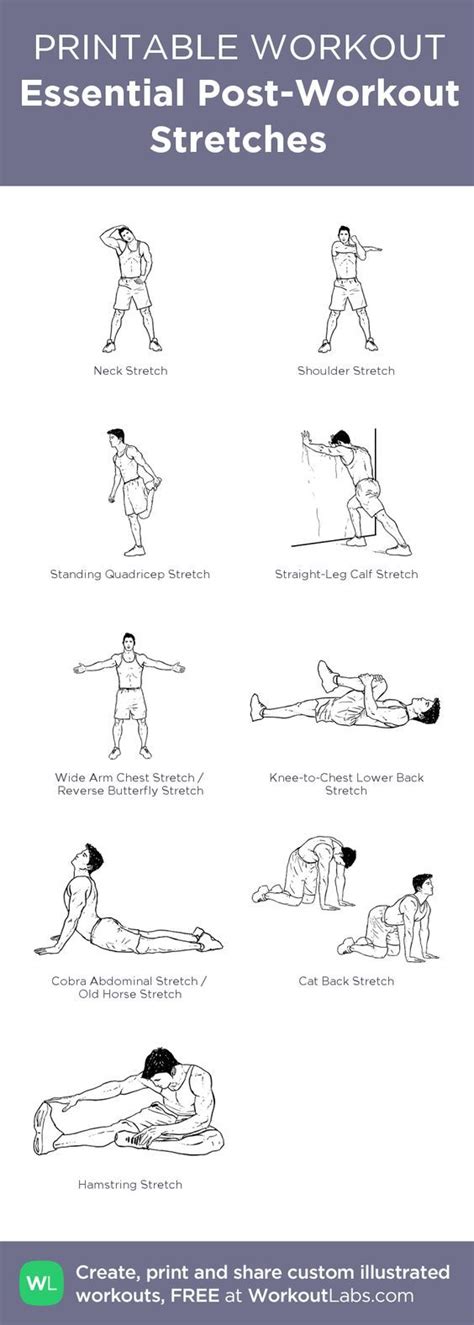 Essential Post Workout Stretches Post Workout Stretches Post Workout